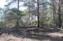bois du sud-ouest de Milly